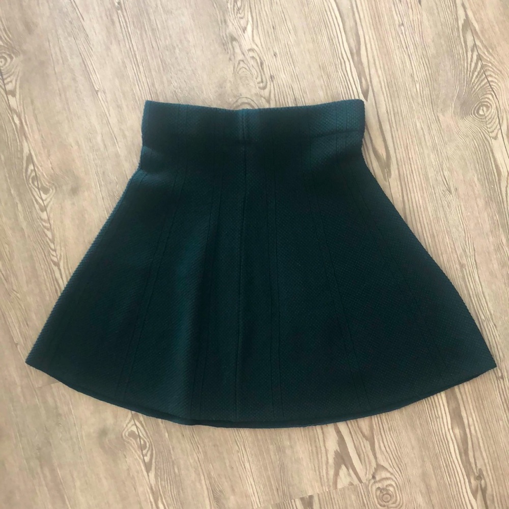 NWOT ZARA Dark Green Circle Skirt, S